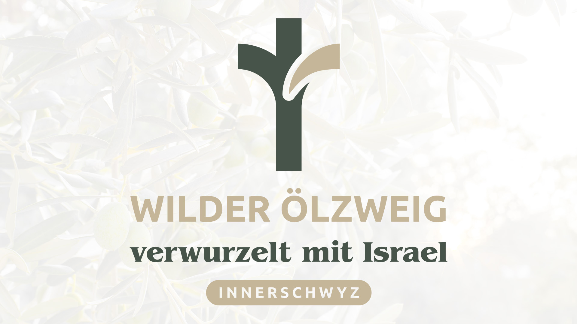 Wilder Ölzweig – verwurzelt mit Israel