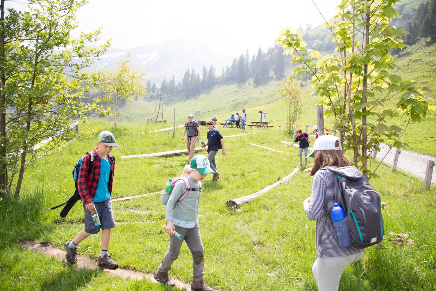 img_3384_43304889531_o